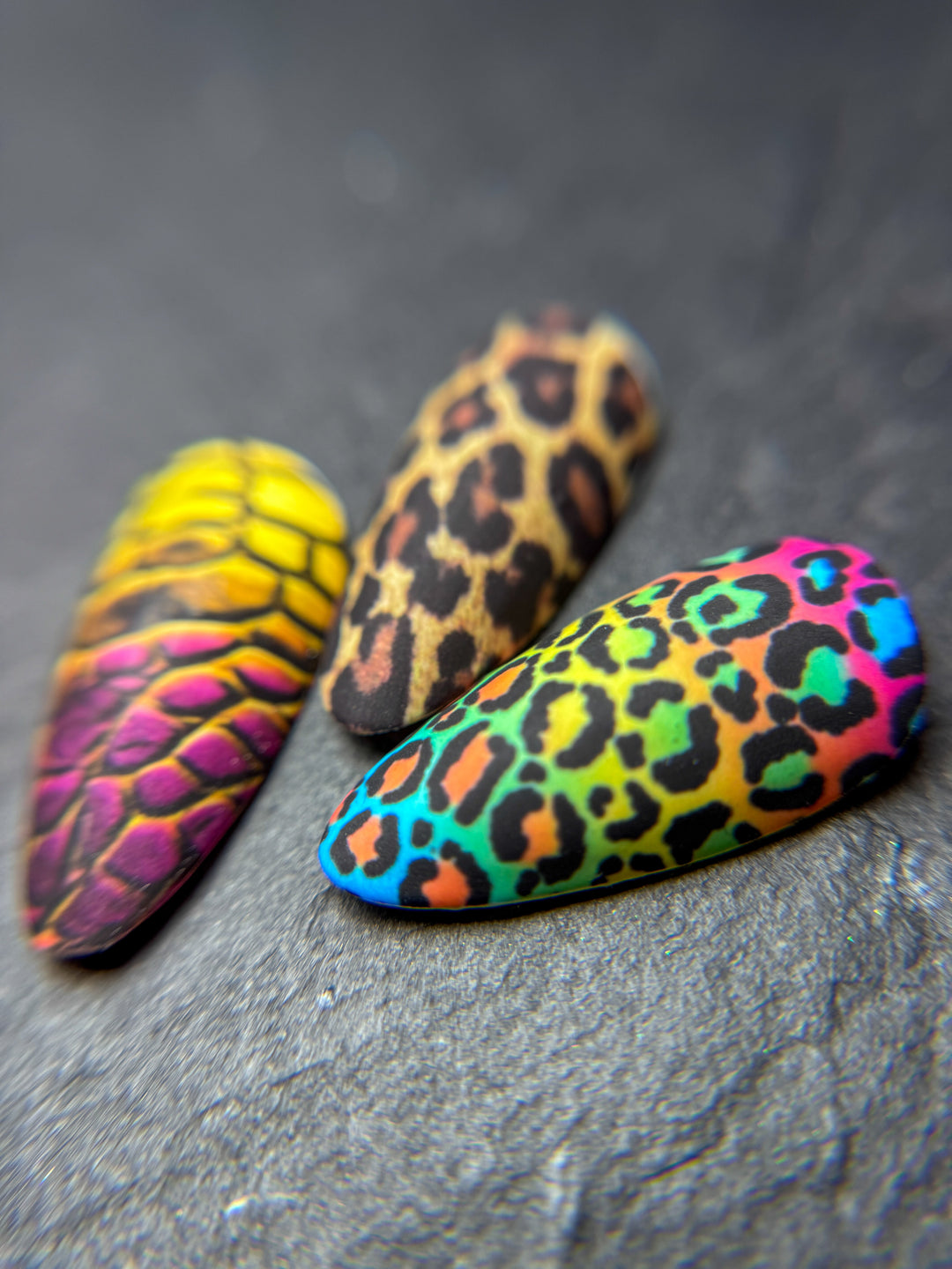 Animal Prints - Seventy7 Nail Decals